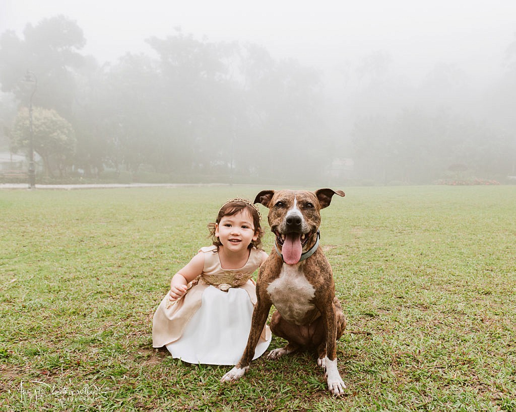 toddler, dog, fog